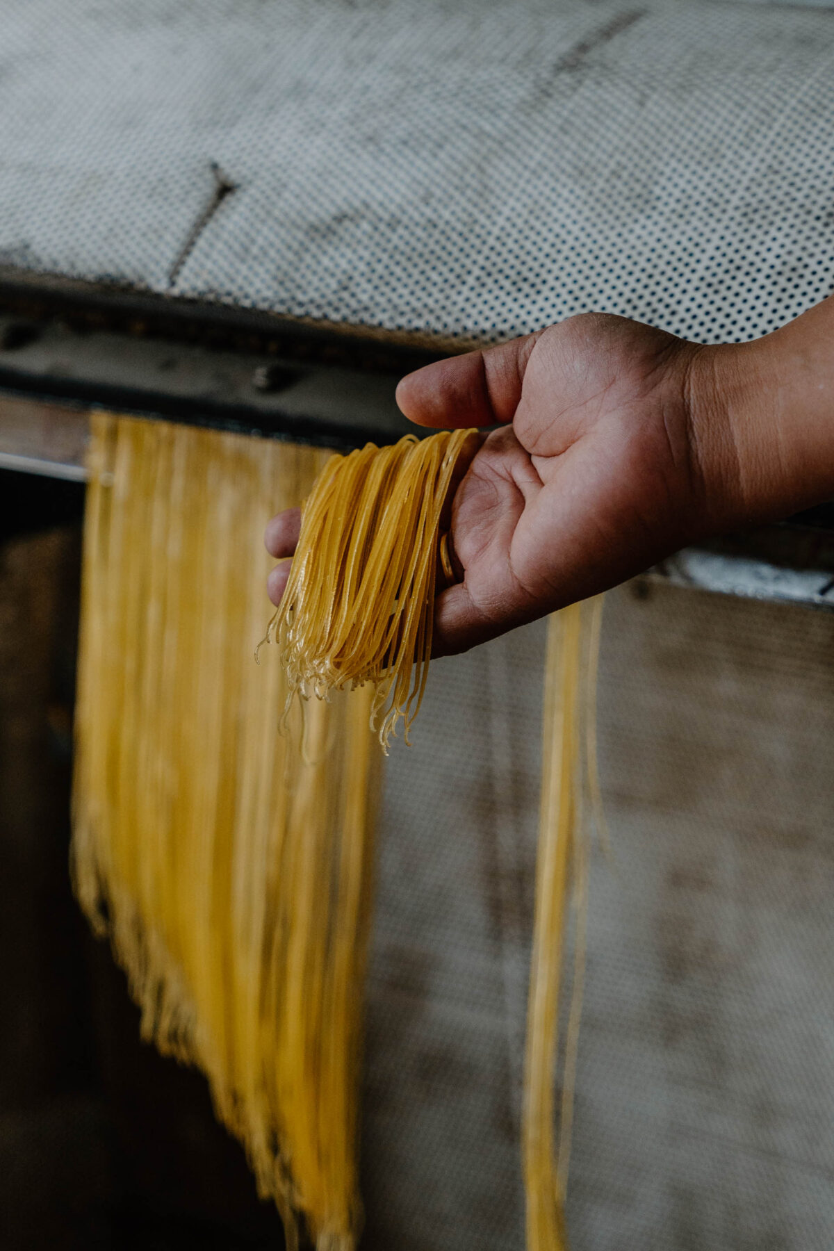 2024-03-18_Vietnam_Can_Tho_Mekong_Kristina_Fendesack_Nudel_Produktion