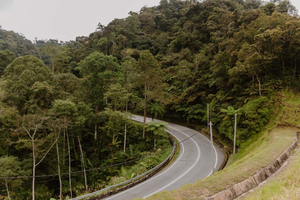 2017 04 28 Cameron Highlands 2
